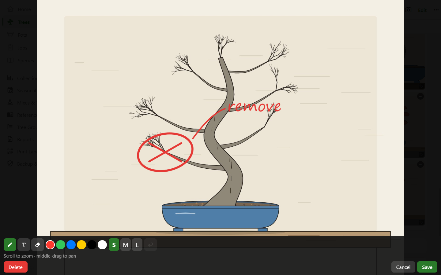 The annotation canvas over a photo of a tree, with a branch marked for removal and a text label.