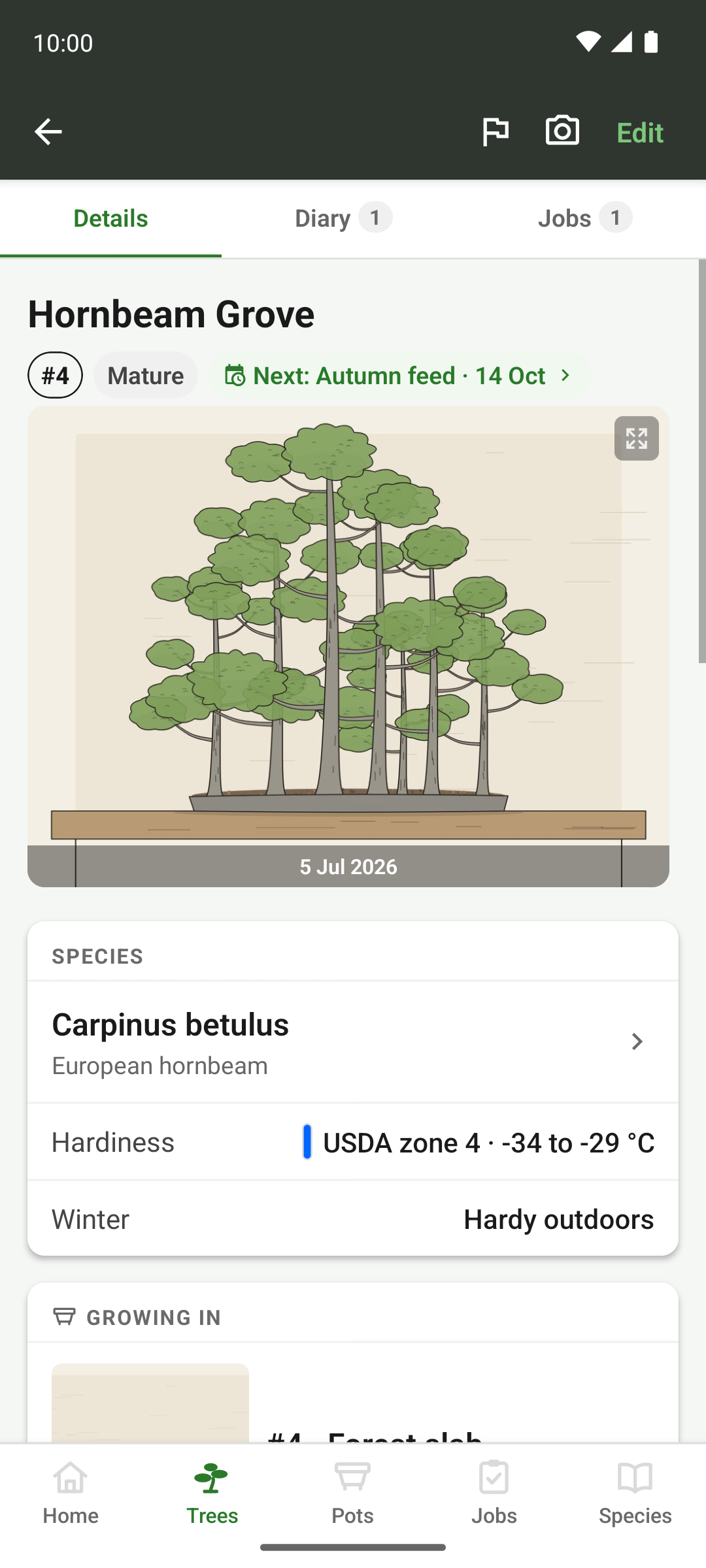 A tree page with its hero image across the top and the photo strip beneath.