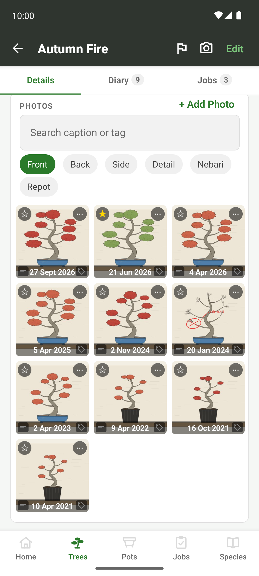 A tree's gallery filtered to photos tagged Front, with the search box and tag chips above the grid.