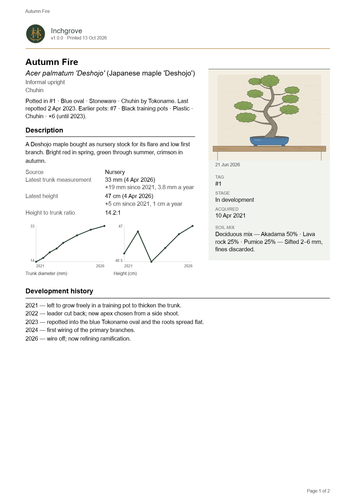 The tree profile sheet: details with trunk and height plots on the first page, then a dated grid of photos.