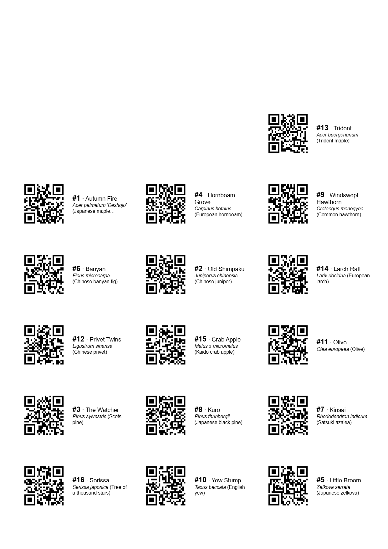 A printed A4 label sheet, 21 labels each with a tag, name and QR code.