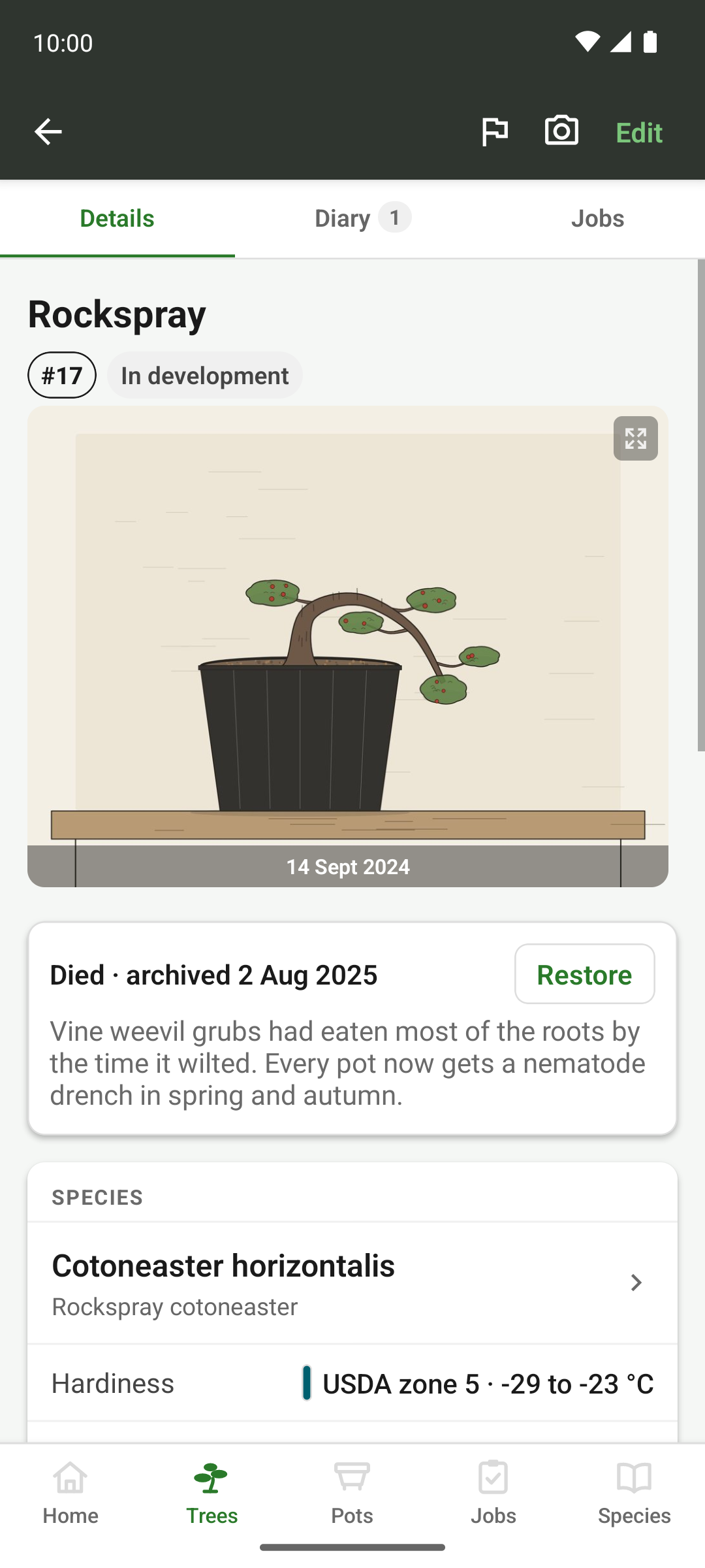 An archived tree's detail page, with the archive banner and reason.