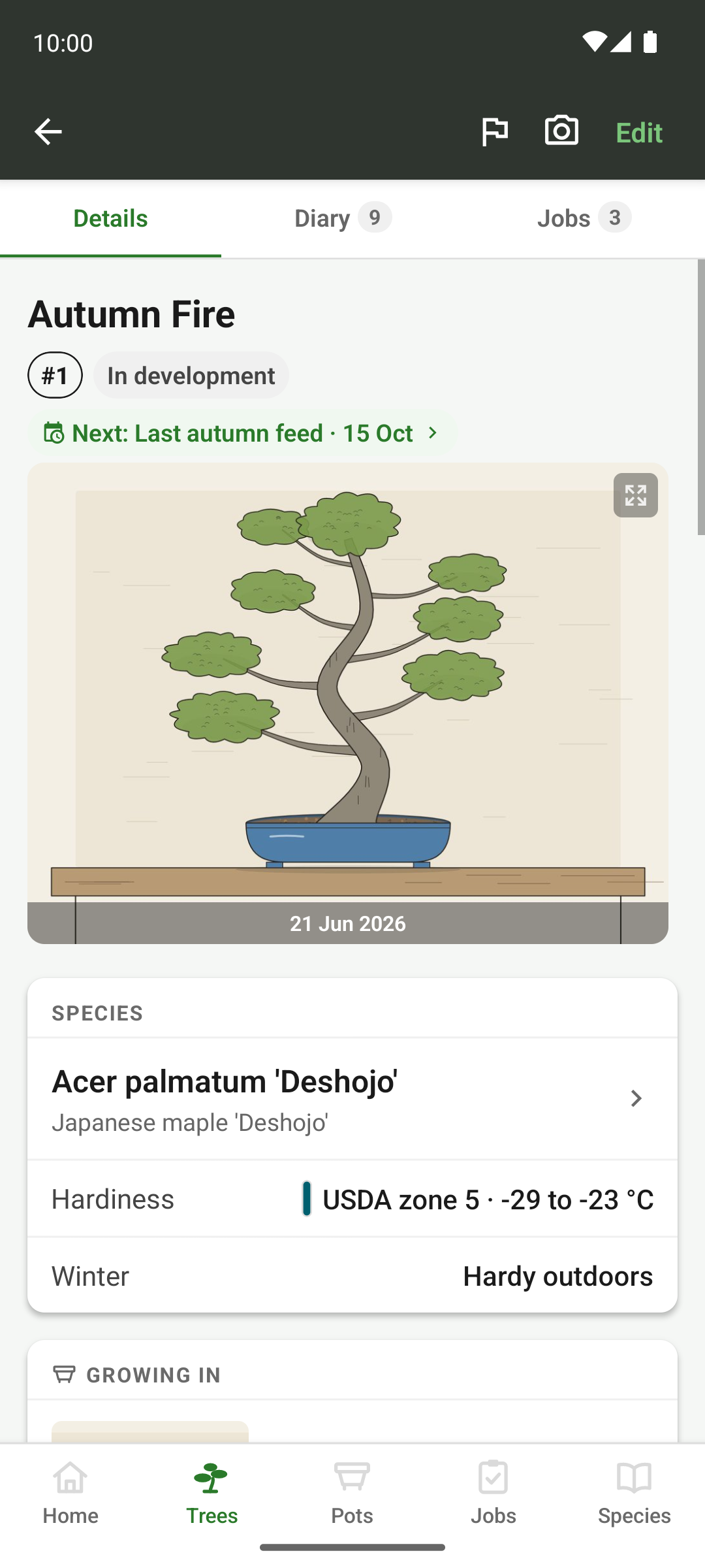 A tree detail page: hero photo, species and stage, and the jobs and diary tabs.