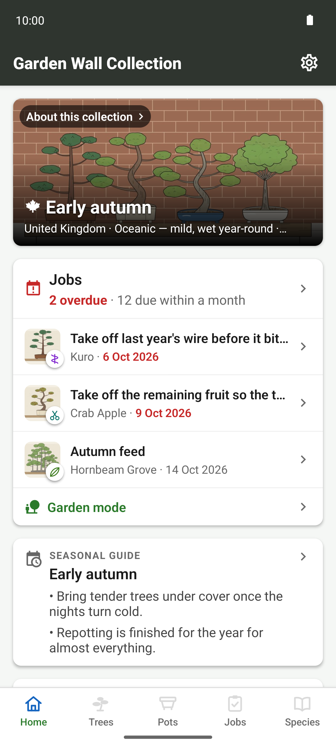 The app running with no connection, showing the collection loaded as normal.
